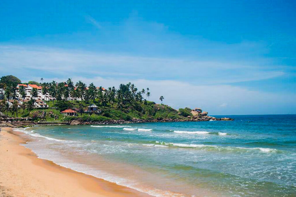 Munnar Thekkady Tour Package